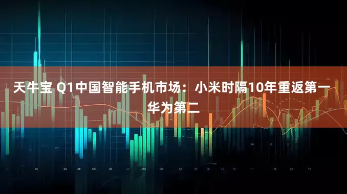 天牛宝 Q1中国智能手机市场：小米时隔10年重返第一 华为第二