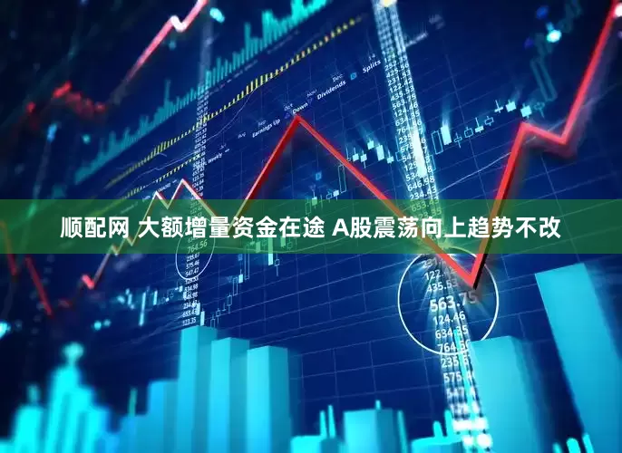 顺配网 大额增量资金在途 A股震荡向上趋势不改