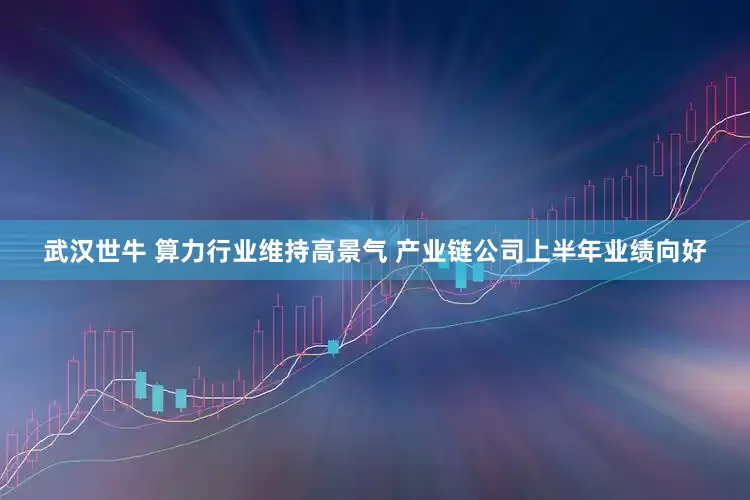 武汉世牛 算力行业维持高景气 产业链公司上半年业绩向好